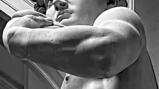 accademia gallery - David Statue Michelangelo Accademia 544x306 - Accademia Gallery