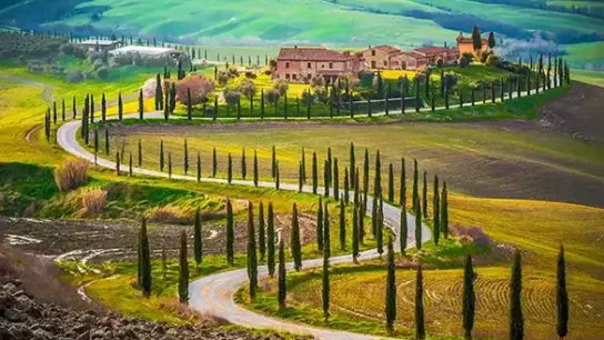 Chianti Region Private Tour