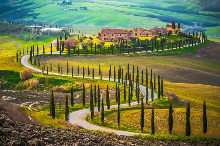 Chianti Tour florence private and small groups tours - Chianti Region Thumb 768x512 - Florence Private and Small Groups Tours