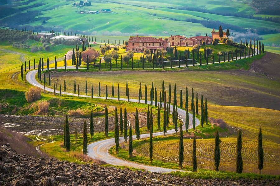 Chianti Tours chianti tours - Chianti Cypress - Chianti Tours