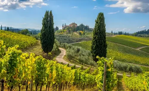 Chianti Private Tour