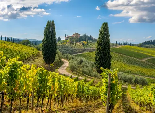 Chianti Tour