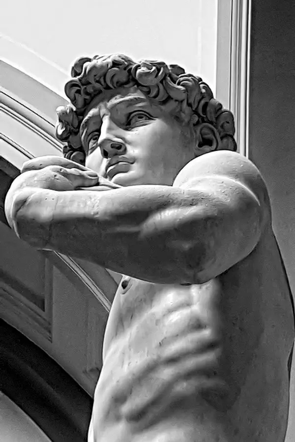 florence private and small groups tours - David Statue Michelangelo Accademia - Florence Private and Small Groups Tours