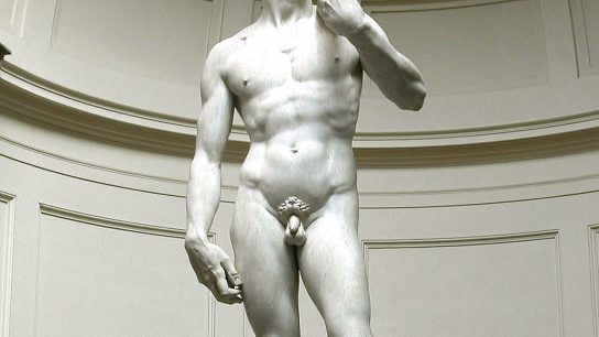 accademia gallery - Florence Accademia Michelangelo David via WikiPedia David Gaya 544x306 - Accademia Gallery