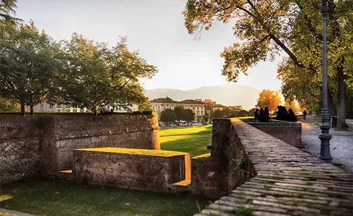 Lucca city walls with tree-lined promenade in Tuscany  - Lucca Walls 500x306 - Lucca