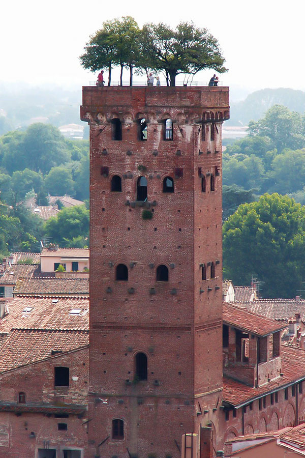 - Lucca Guinigi - Lucca