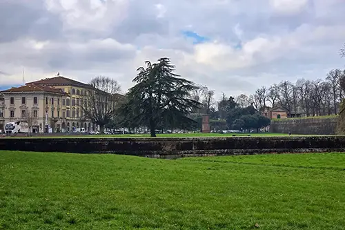 Lucca